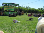 , 2011.