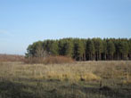 2010.