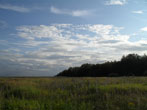 2011.