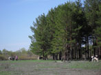  2011.