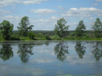  2011.