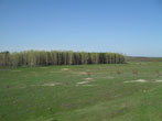  2011.
