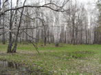  ,  2011.