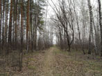 ,  2011.