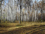  2010.