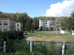  ... 2011.