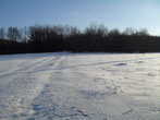  2011.