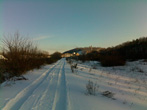  2011.