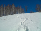  2011.