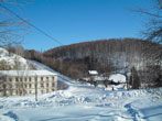  2011.