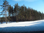  2011.