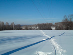  2011.