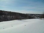  2011.
