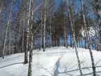  2011.