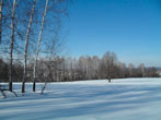  2011.