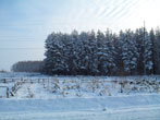  2011.