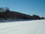  2011.